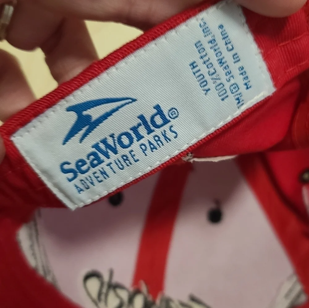 Vintage flames SeaWorld baseball hat